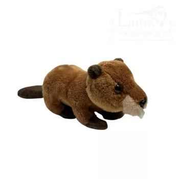 Plüss mini hód
