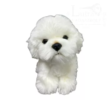 Plüss bichon havannese kutya 17cm
