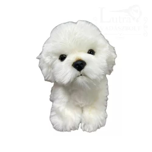 Plüss bichon havannese kutya 17cm