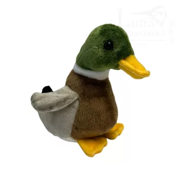 Plüss vadkacsa 15cm