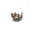 RWS 243 Win 6,5g Teilmantel