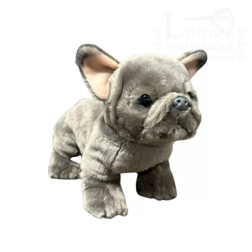 Plüss francia bulldog 24cm