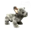 Plüss francia bulldog 24cm