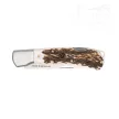 Sauer szarvasagancs bicska 9 cm