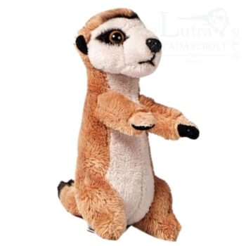 Plüss mini szurikáta