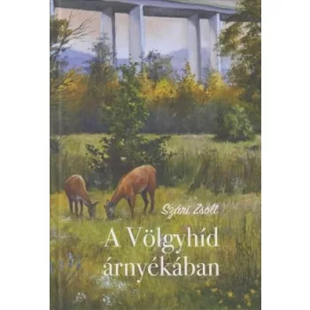 Könyv  / A völgyhíd árnyékában