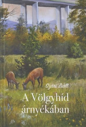 Könyv  / A völgyhíd árnyékában