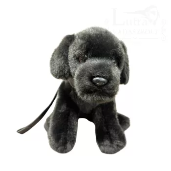 Plüss fekete labrador kutyus pórázzal 20cm