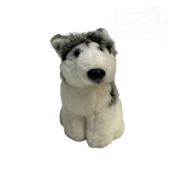 Plüss kicsi husky