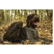 Pinewood Outdoor hátizsák 22L