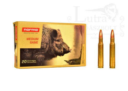 Norma 30-06 Plastic Point 11,7g