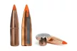 Norma 30-06 Tipstrike 11 g