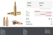 Norma 22-250 Tipstrike Varmint 3,6g 55gr