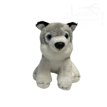 Plüss mini husky
