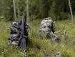 Blaser R8 Professional 2.0 sötétbarna agyazás